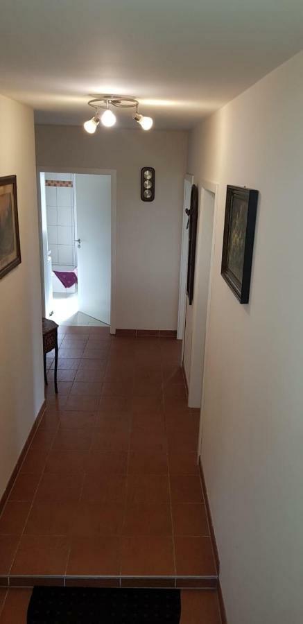 Im Ballhaus Neuhilbersdorf شيمنيتز المظهر الخارجي الصورة